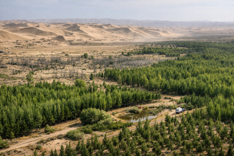 A billion trees in China slow the desert yet some experts insist the campaign is making ecosystems worse